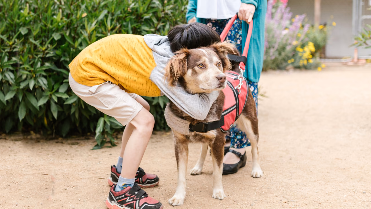 Woman hugging an Australian shepherd in a red service vest, PSD letter in Rhode Island
