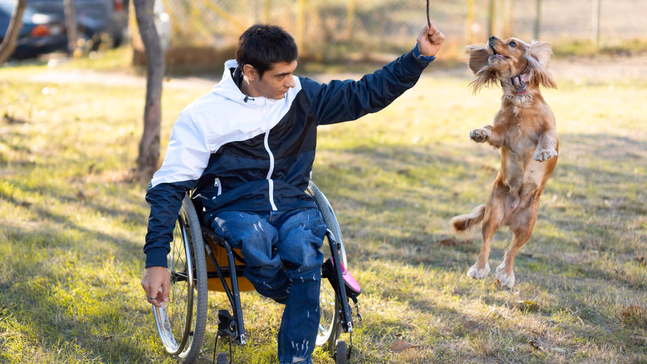 Young man in a wheelchair playing with his small dog in a park, PSD letter in South Carolina