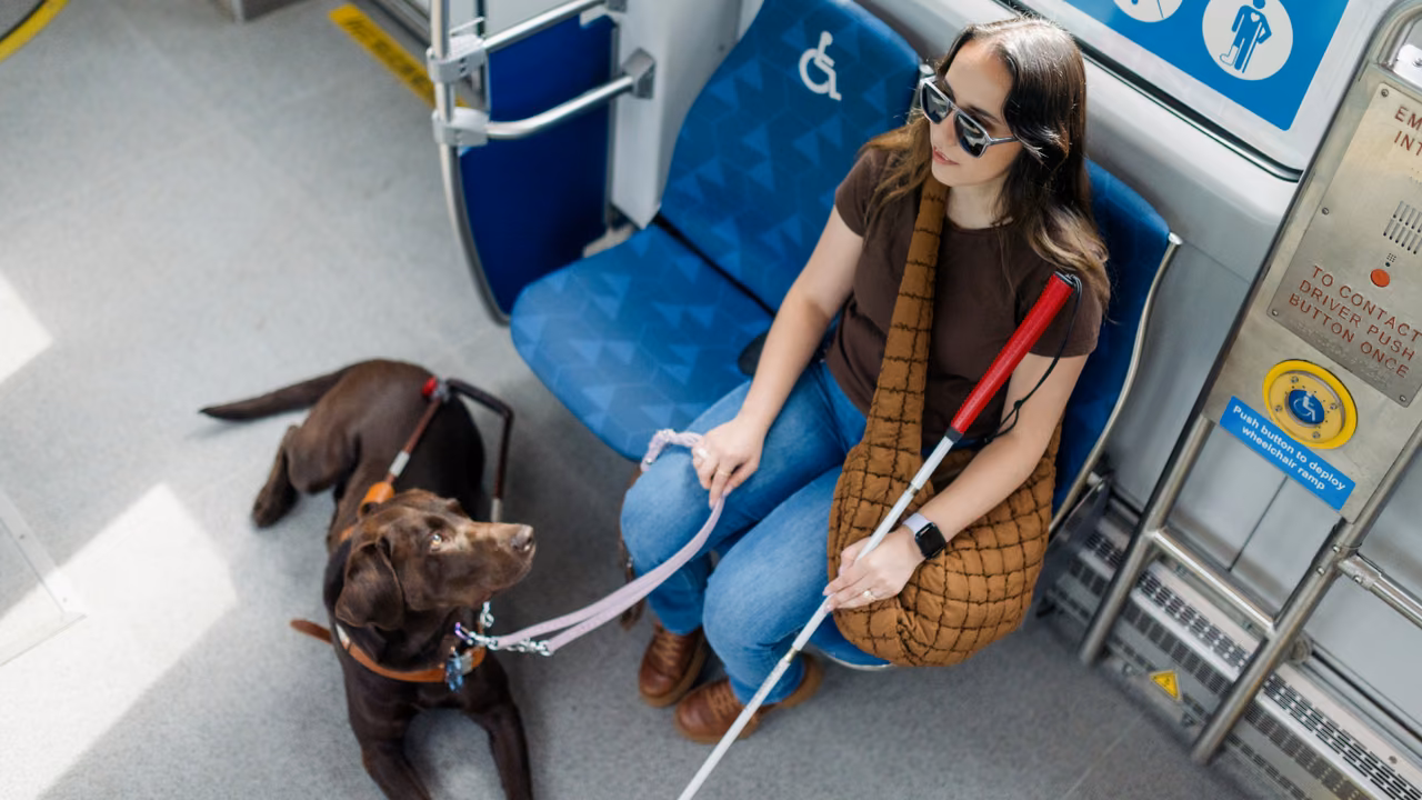 Woman with a white cane riding the bus with her guide dog, PSD letter in Texas