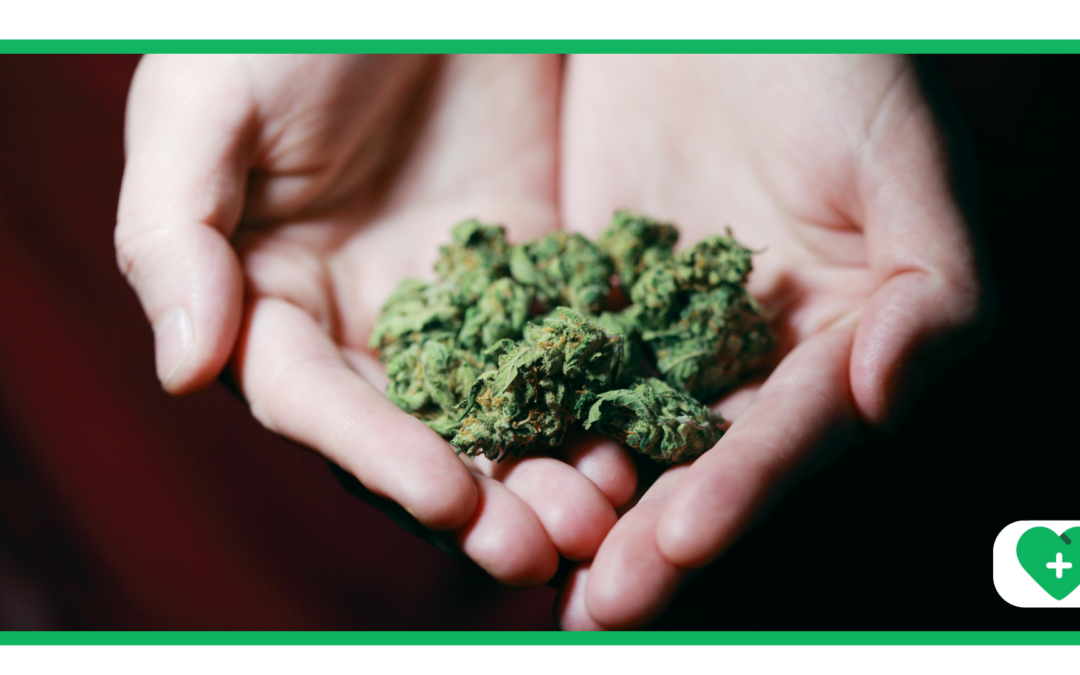 Some of the Challenges Patients Face when They Need to Apply for a Medical Marijuana Card When Moving to Another State