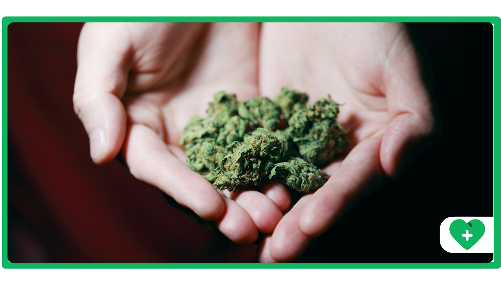 Some of the Challenges Patients Face when They Need to Apply for a Medical Marijuana Card Whe