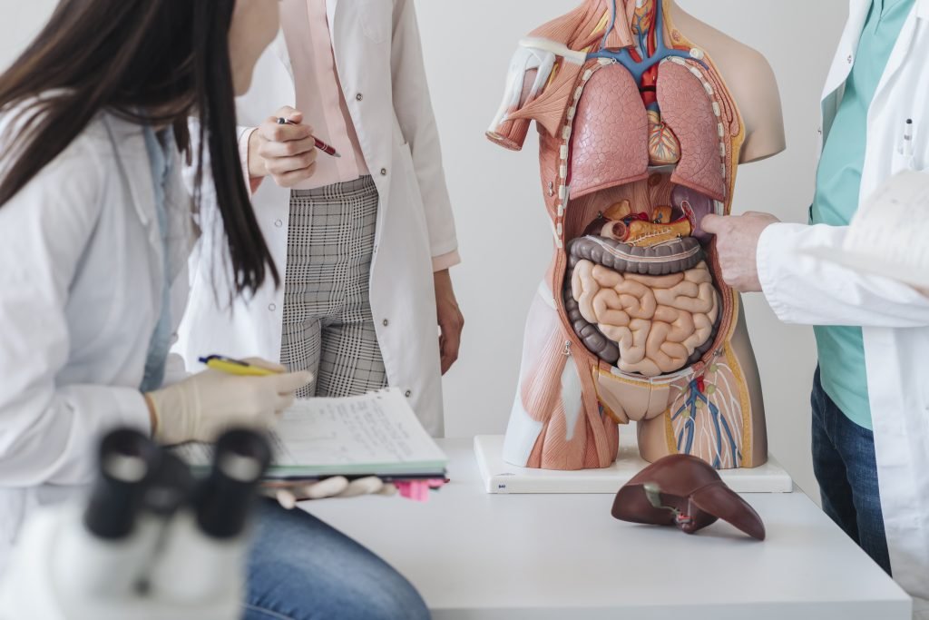 Gut Microbiome: Key to Mental Wellness