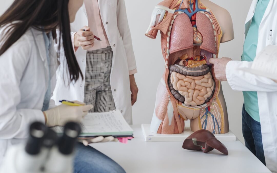 Gut Microbiome: Key to Mental Wellness