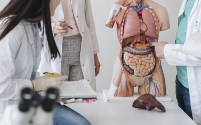 Gut Microbiome: Key to Mental Wellness