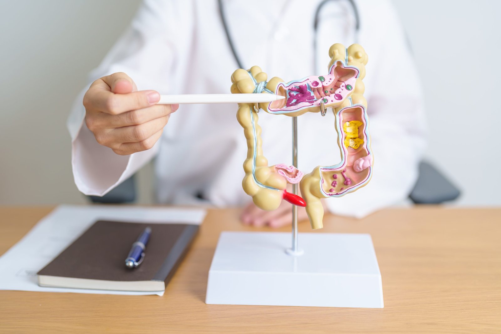 gut biome and weight loss​