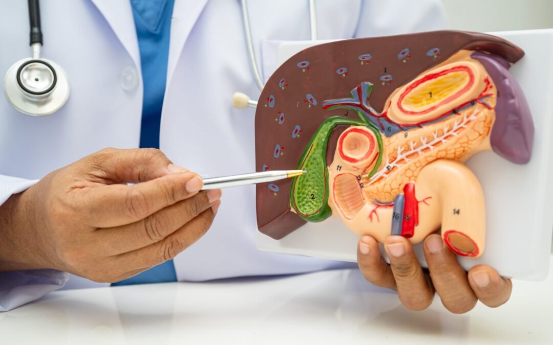 Gut Microbiome’s Role in Autism Explored