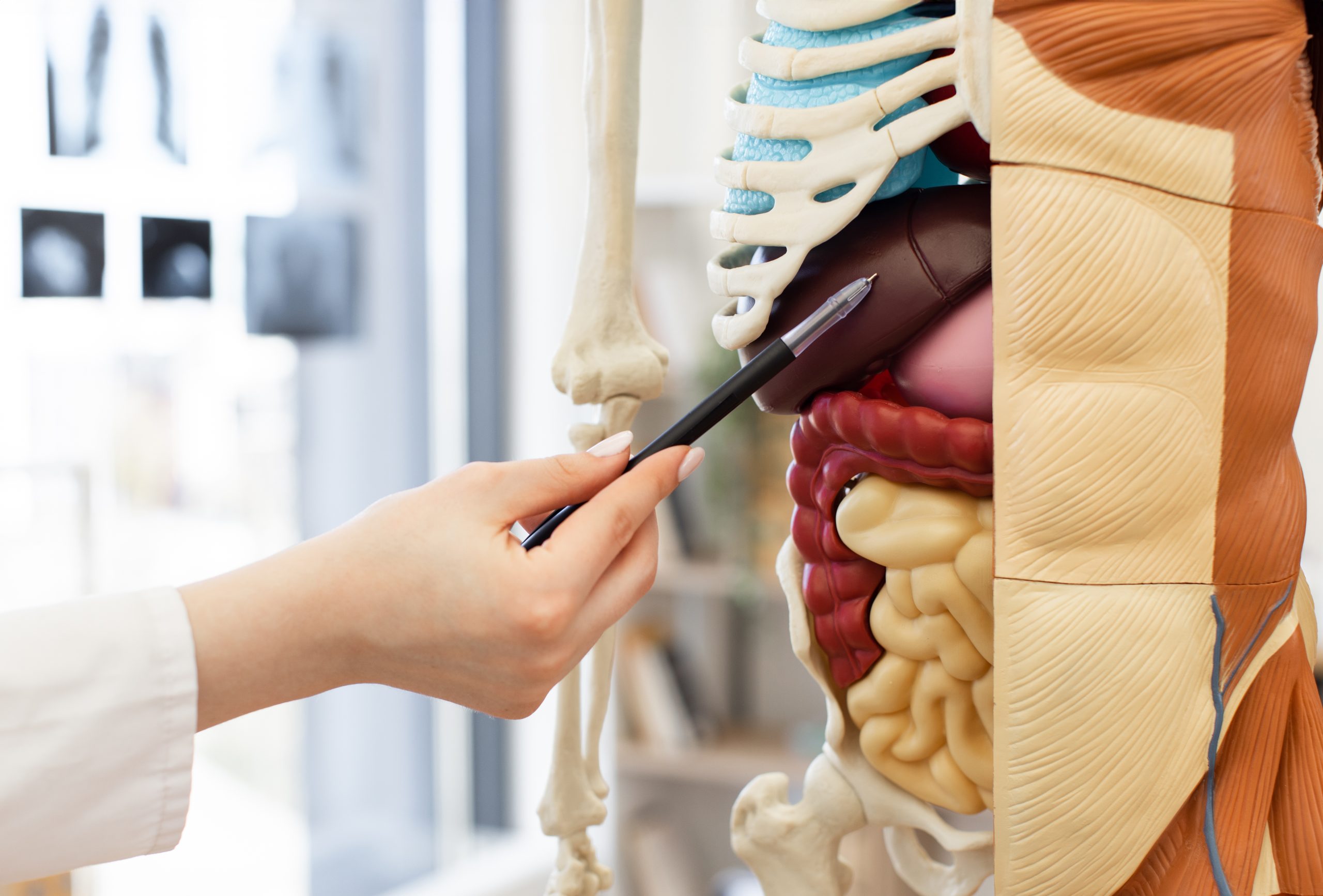 Top Tips to Boost and Restore Your Gut Microbiome