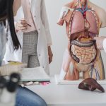 Gut Microbiome: Key to Mental Wellness