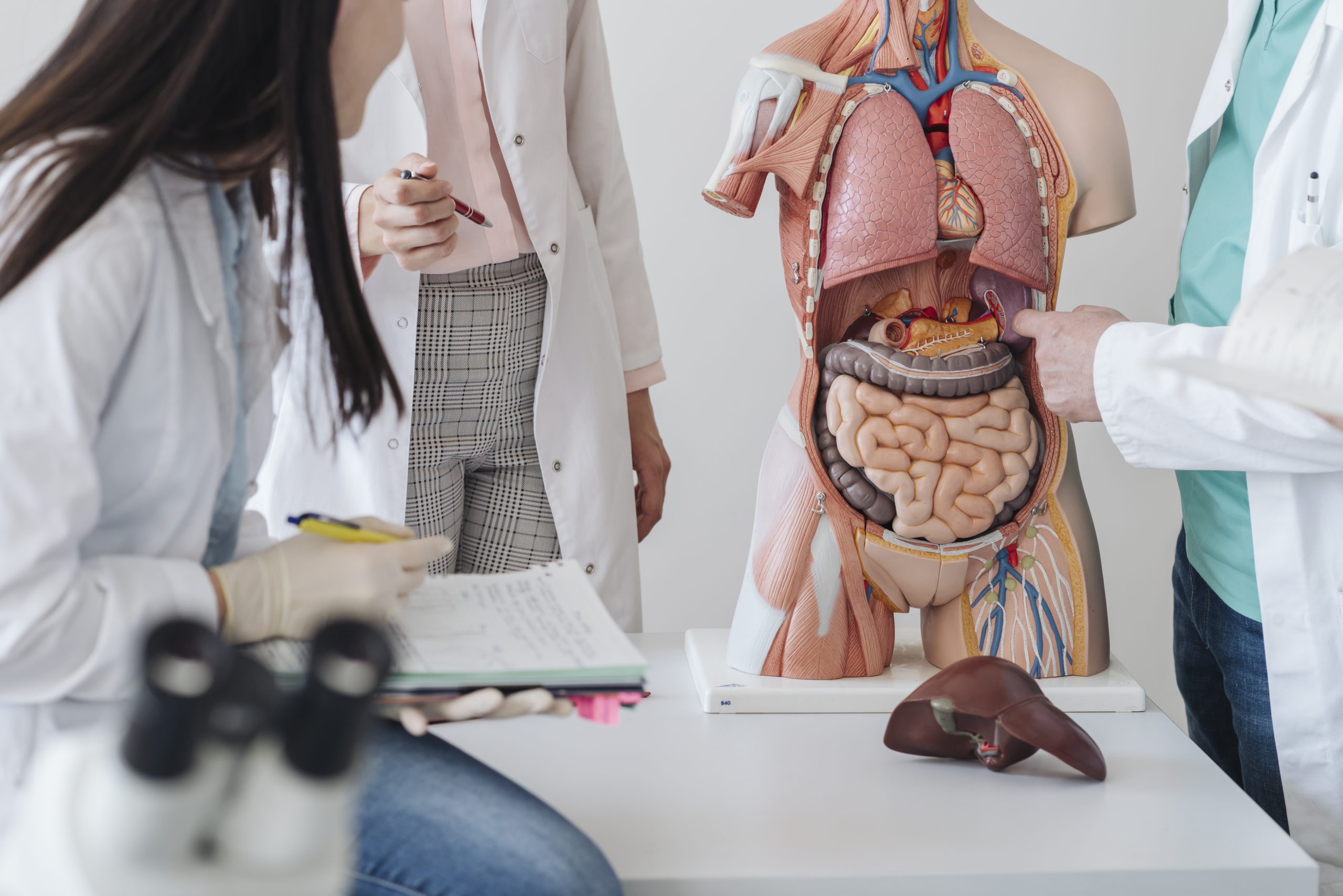 Gut Microbiome: Key to Mental Wellness