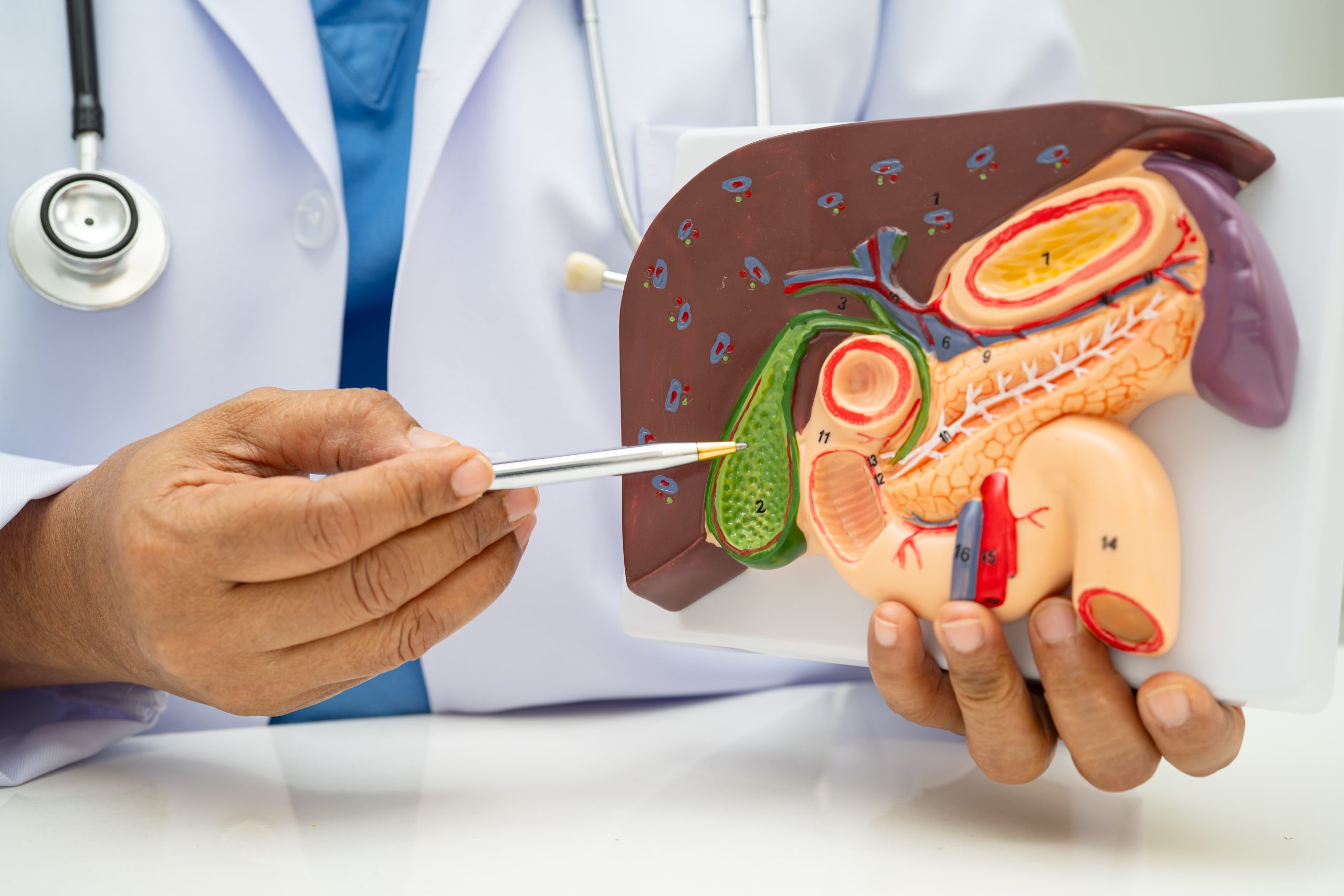 Gut Microbiome’s Role in Autism Explored